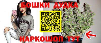 a pvp Моздок