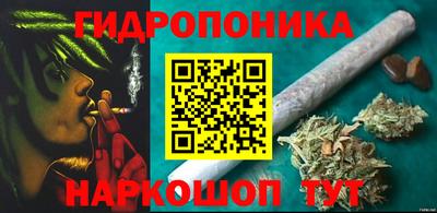 mdpv Можга