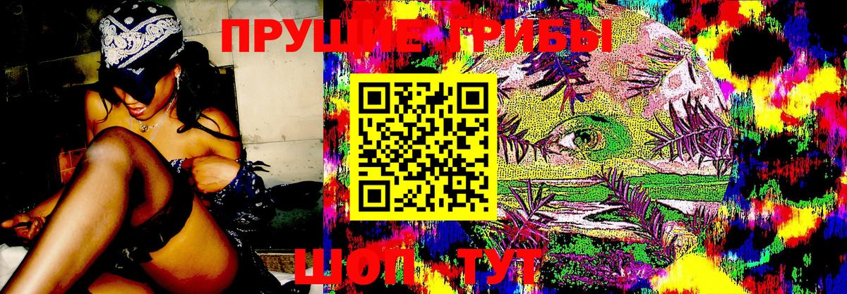 Псилоцибиновые грибы Cubensis Вичуга
