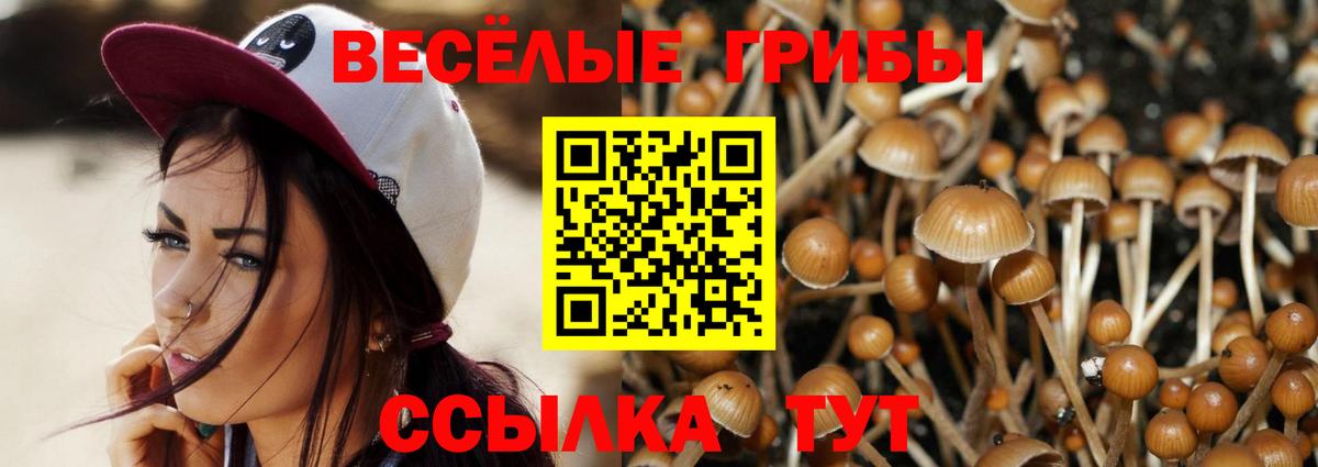 Галлюциногенные грибы Cubensis  Псилоцибиновые грибы Psilocybine cubensis  Вход с VPN  даркнет сайт  Вичуга 